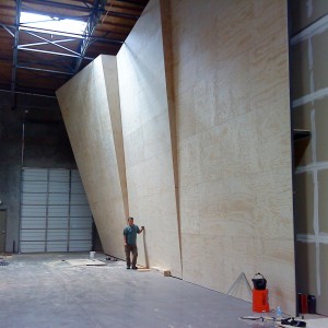 Completion of the roped walls, including regulation dual speed wall.